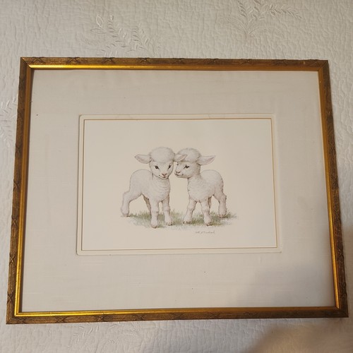 Ruth morehead lambs - lambs, framed